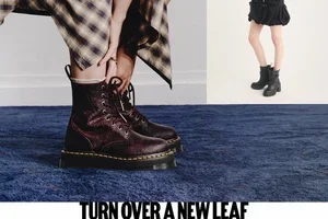 Meet the newest arrivals at DM’s