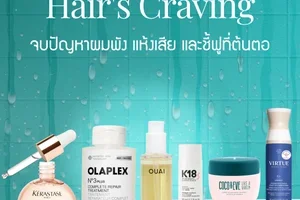 ยังปวดหัวกับผมเสีย แห้ง หรือชี้ฟูอยู่ไหม?