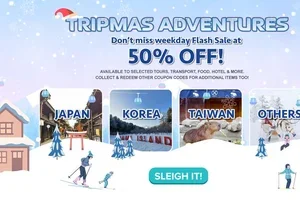 Skip the Tree, Book the Trip 🎄