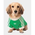 เสื้อยืดสำหรับสัตว์เลี้ยง Cali